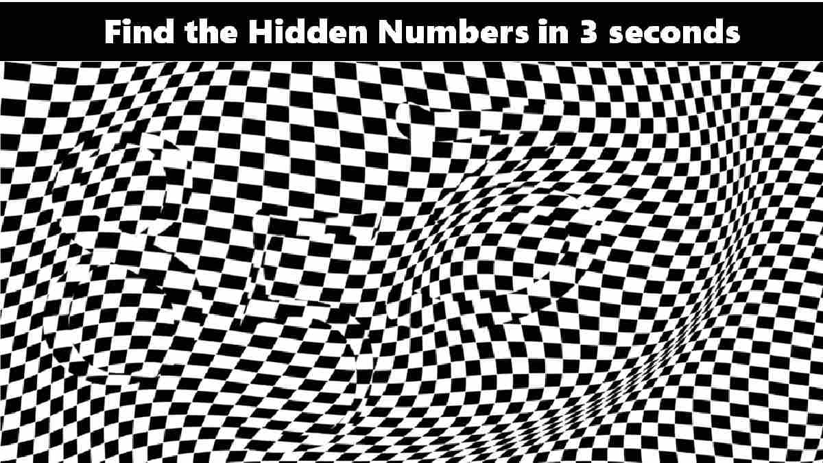 Optical Illusion to Test Your IQ