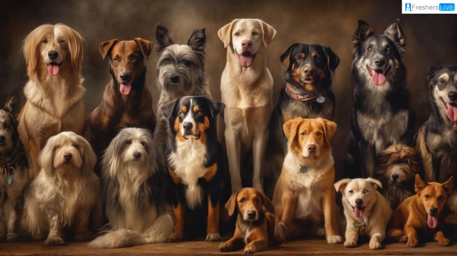 Top 10 Dog Breeds 2023 that Are Popular Around the World