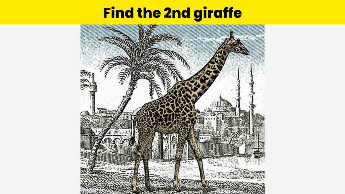 Visual Test - Find the second giraffe