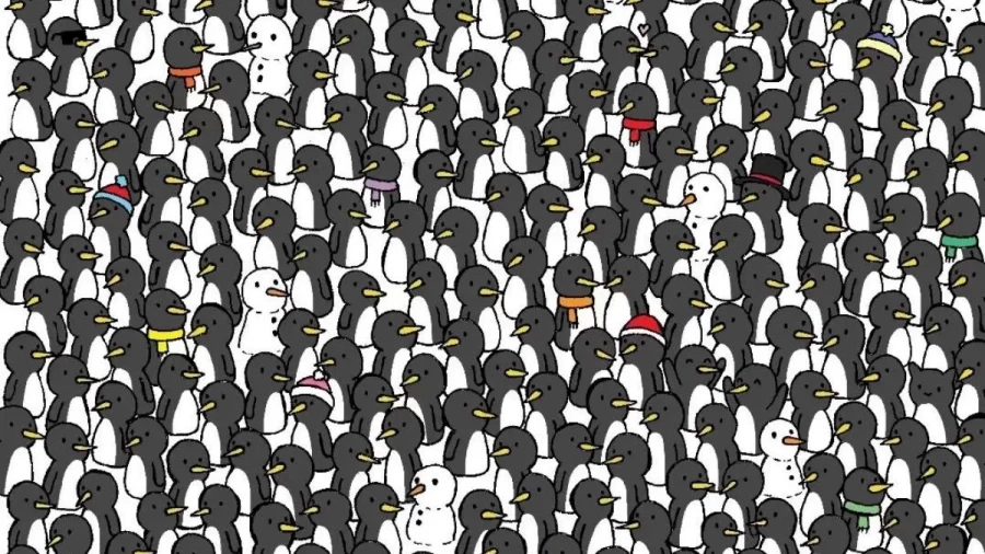 Visual Test: Can You Spot 3 Cats Among Penguins In 15 Seconds?