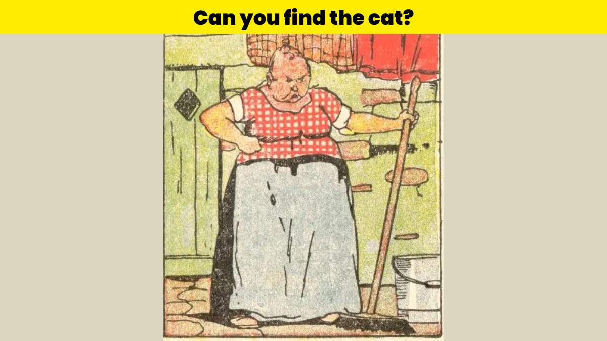 Visual Test - Find the woman’s cat in 5 seconds