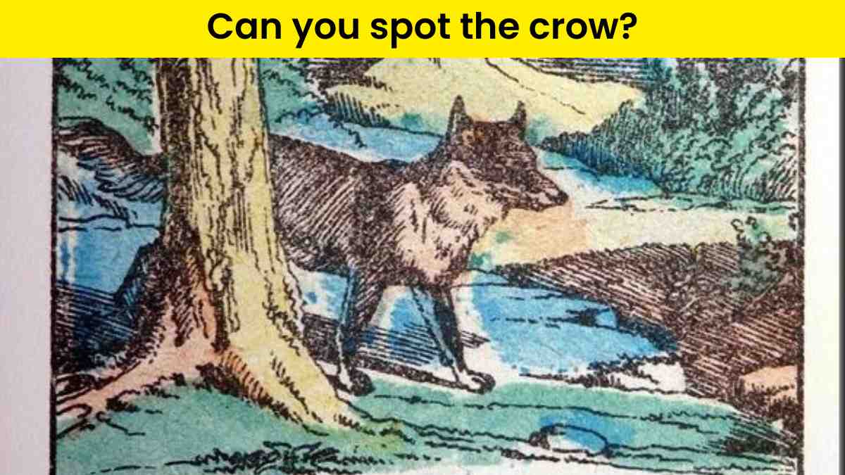 Visual Test- spot the crow within 9 seconds