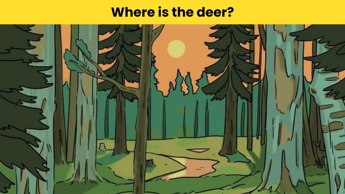 Visual Test - Spot the deer in 7 seconds
