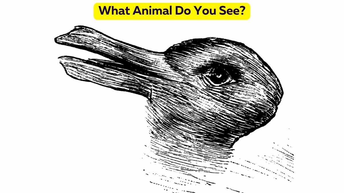 What Animal Do You See In This 1800s Optical Illusion