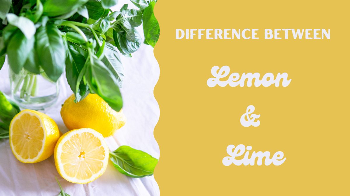What Is The Difference Between Lime And Lemon?