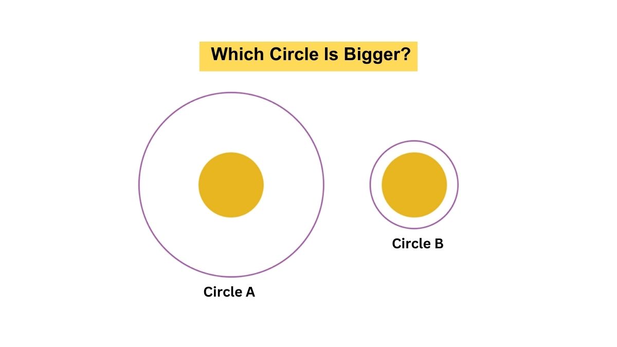 Optical Illusion Challenge: Which Circle Is Bigger?