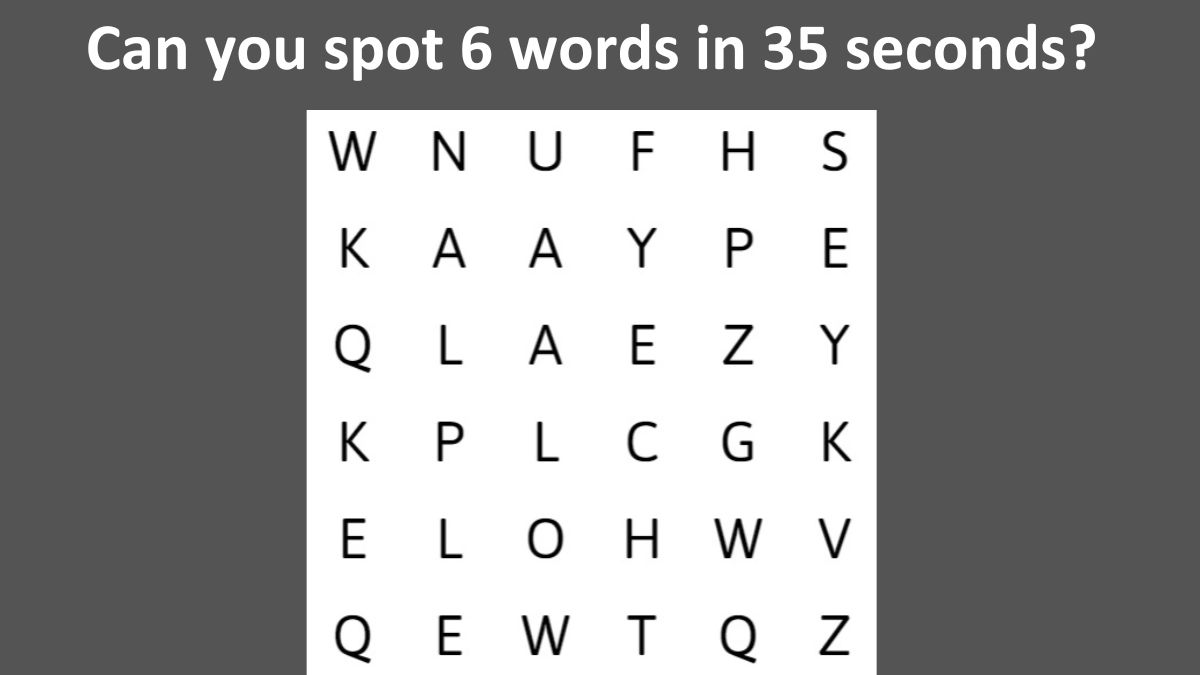 Spot 6 Hidden Words in 35 Seconds