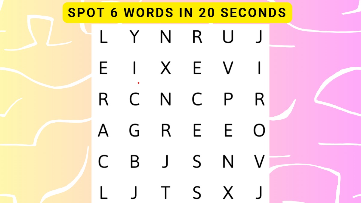 Word Search Puzzle - Spot 6 Hidden Words In 20 Seconds!