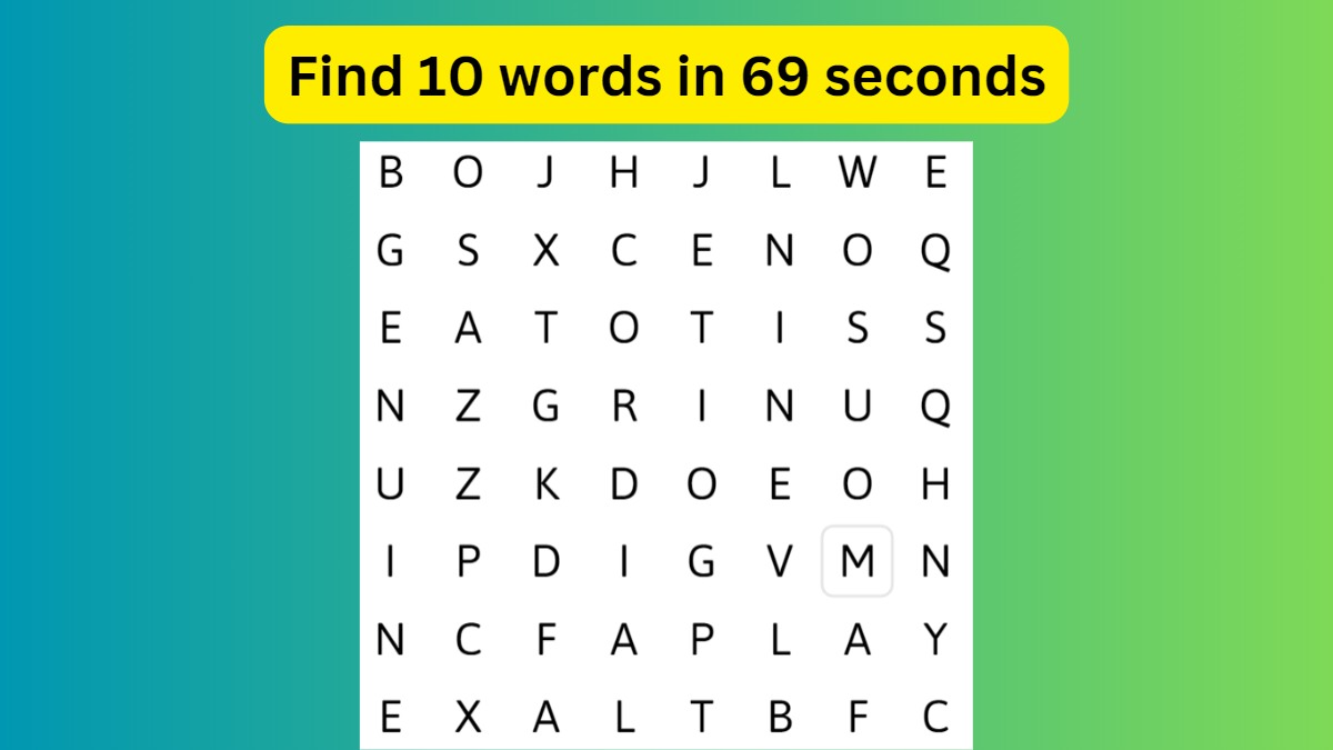 Word Search Puzzle - Spot 10 Words in 69 Seconds!