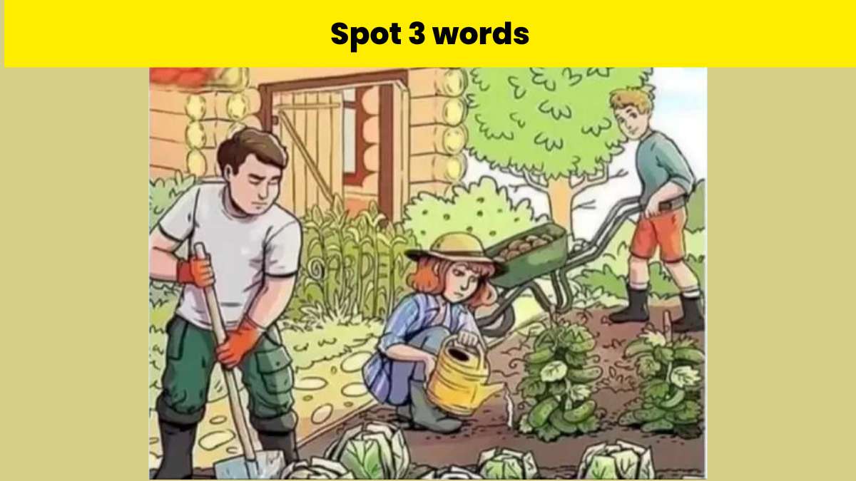 Spot 3 words in the picture