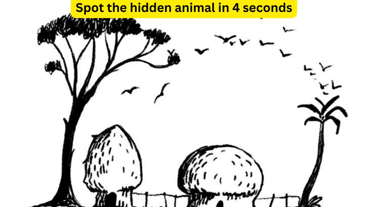 Spot the hidden animal in 4 seconds