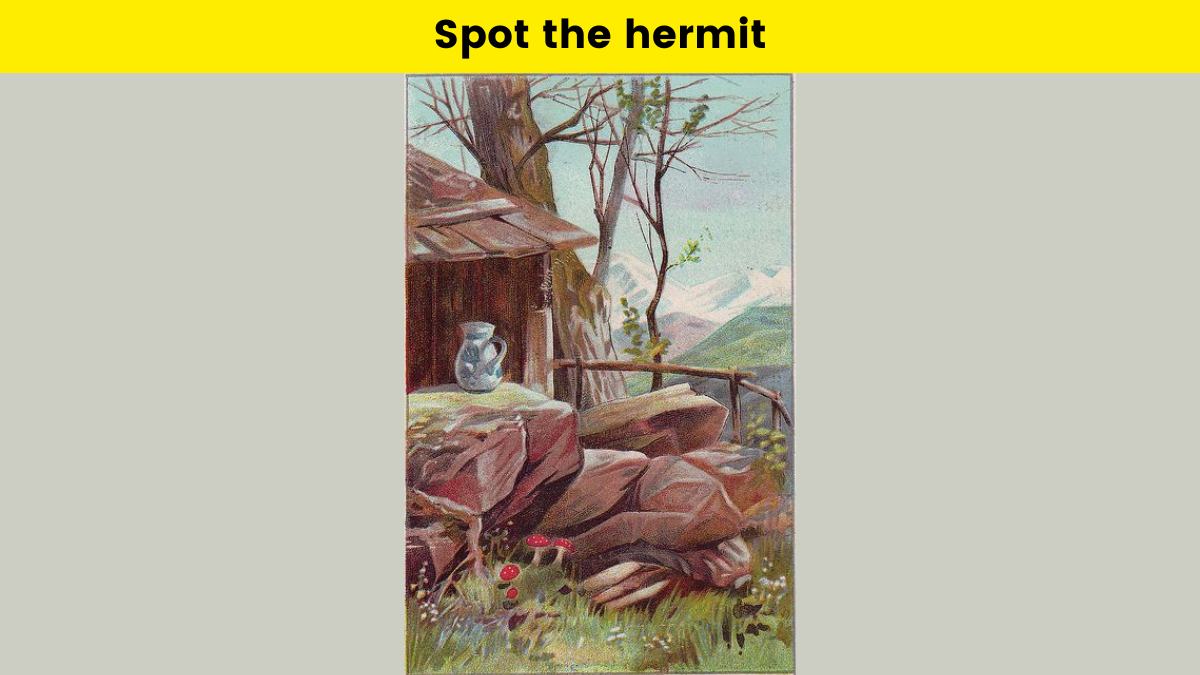 Spot the hermit