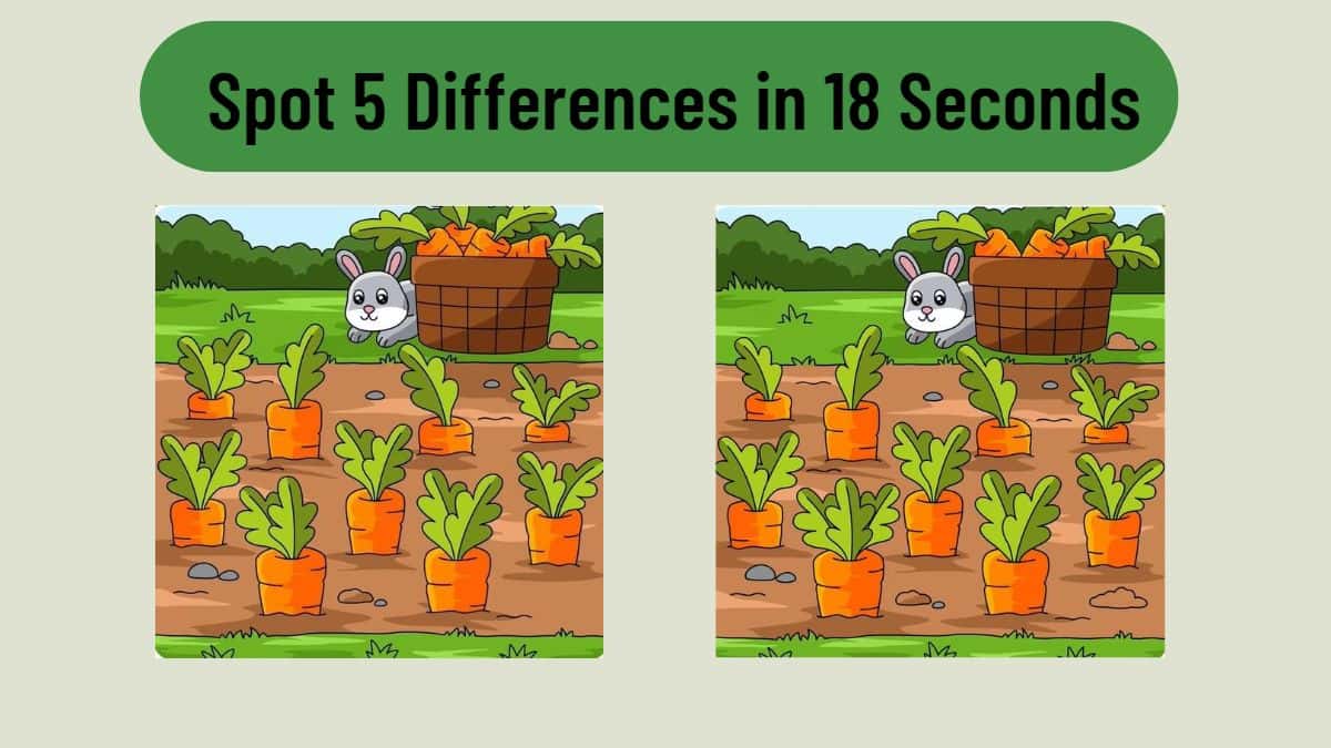 Spot 5 Differences in 18 Seconds