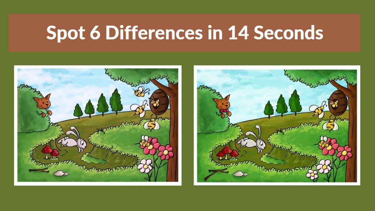spot-the-difference-can-you-spot-6-differences-between-the-two
