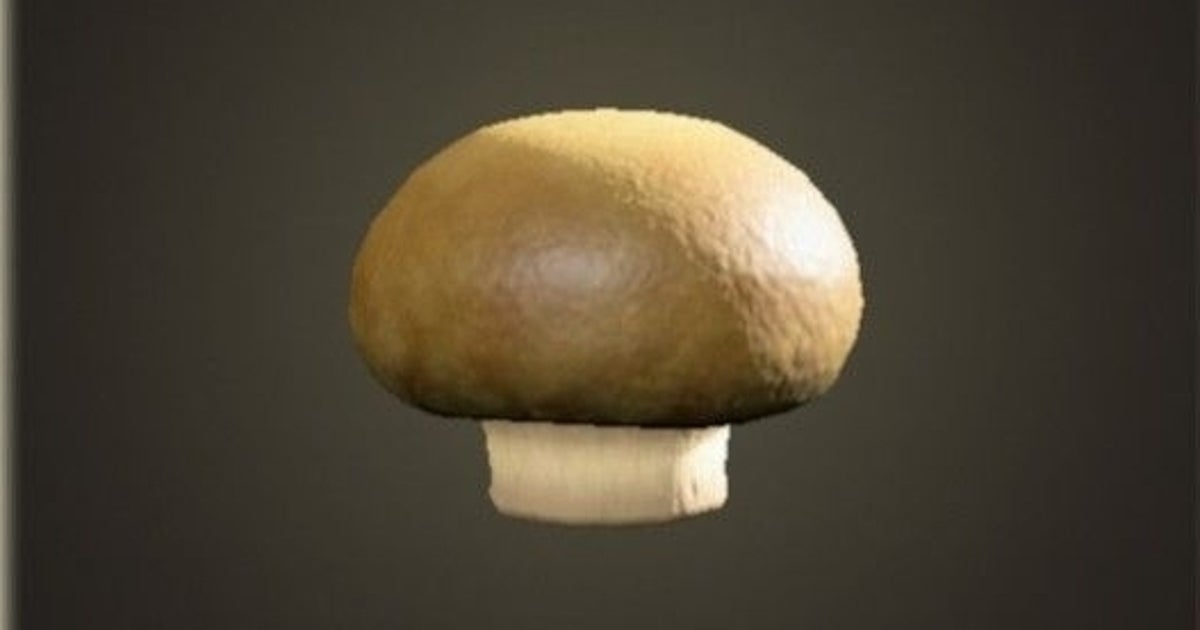 Animal Crossing - Mushrooms: How to get elegant, flat, rare, round and skinny mushrooms, including the mushroom DIY recipes in New Horizons explained