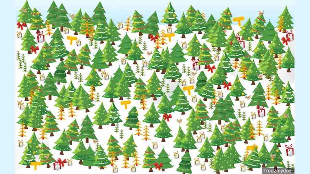 Brain Teaser For Christmas: Only Certified Geniuses Can Find The Star On Top Of The Christmas Tree In 7 Secs!