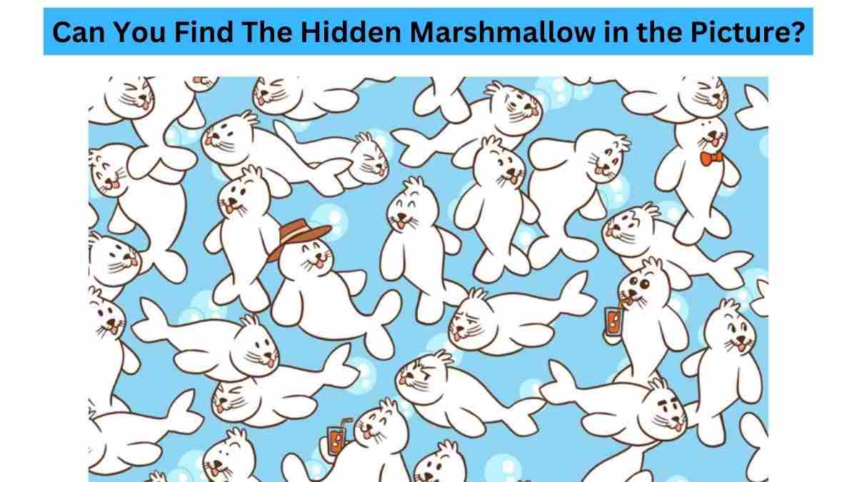 Who got the Marshmallow?