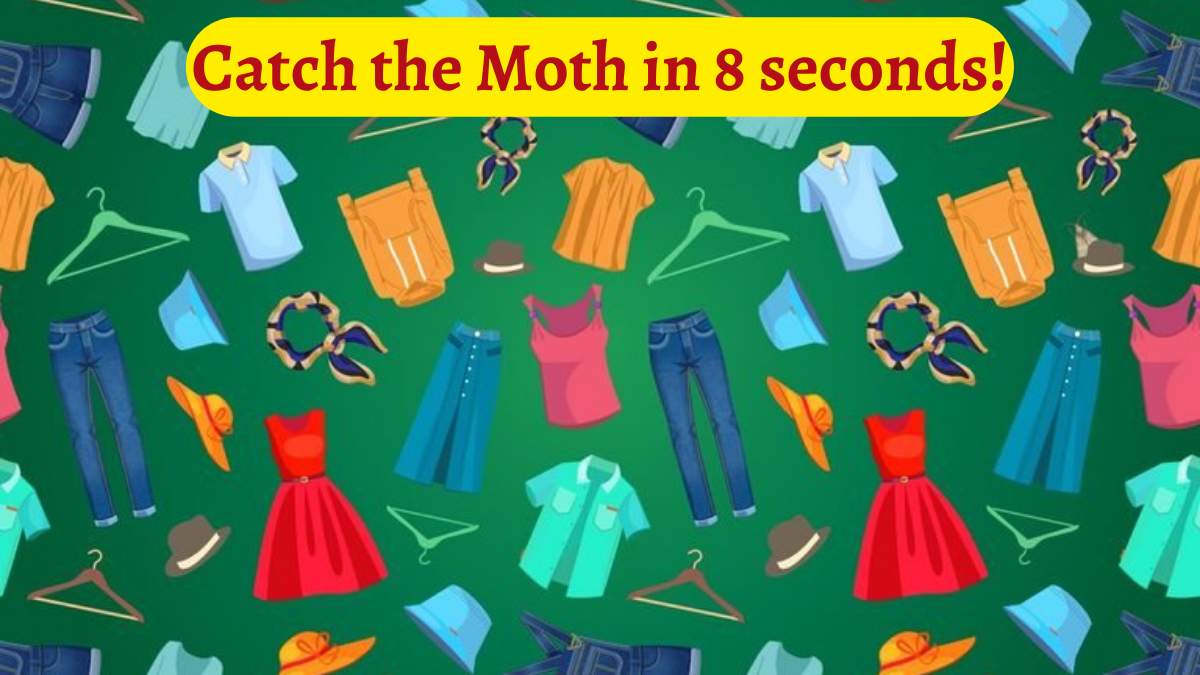 Brain Teaser- Catch the moth in 8 seconds