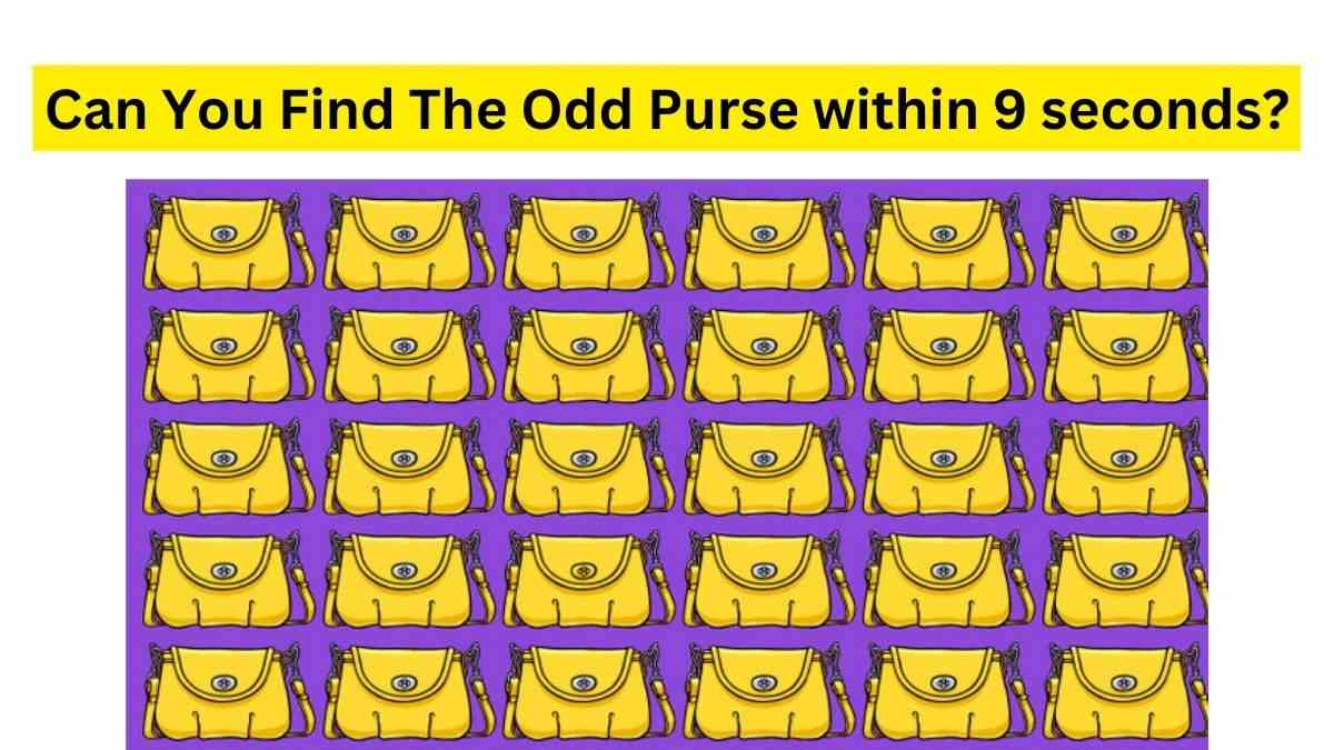 Can You Solve This Odd Purse Puzzle?