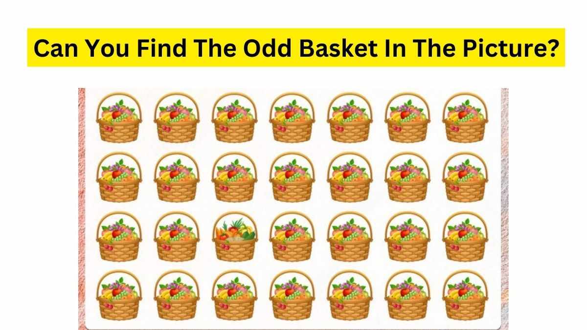 Spot and Find The Odd Basket in the Picture.