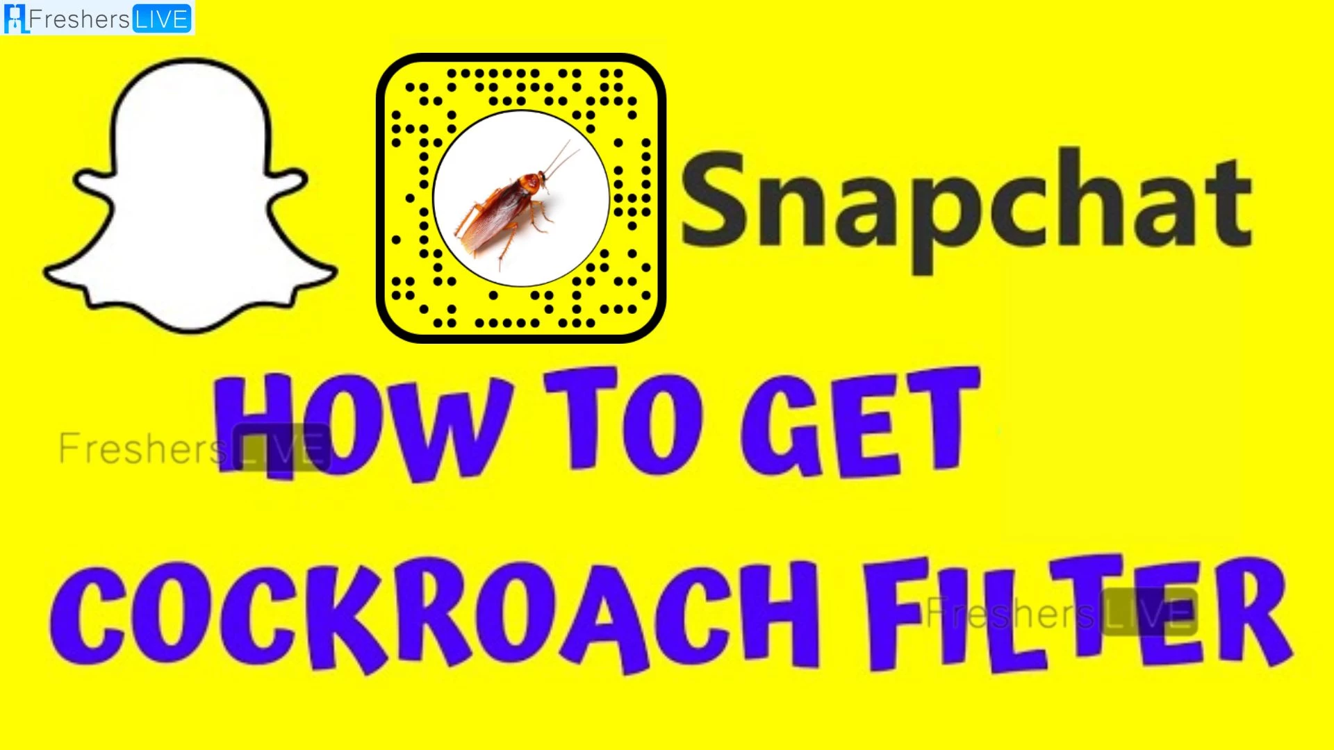 Cockroach Filter Snapchat, How to Get Cockroach Filter on Snapchat?