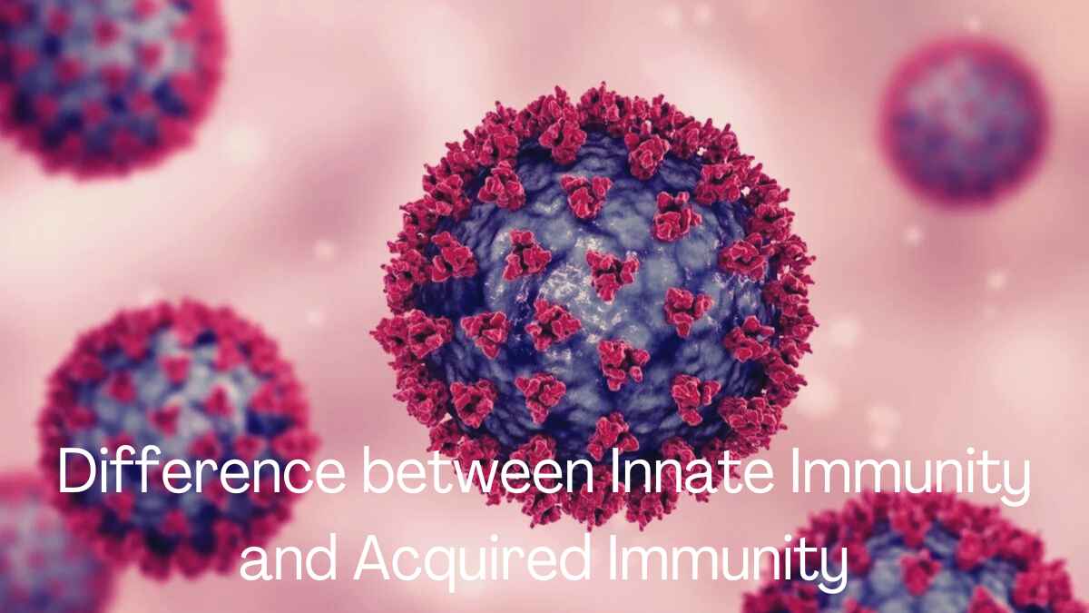 Difference between Innate Immunity and Acquired Immunity