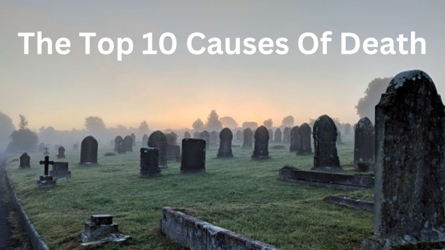 Leading Cause of Death - Top 10 Global ( With Percentage )