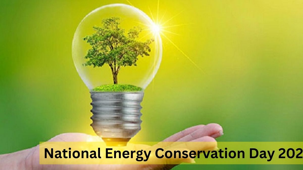 National Energy Conversation  Day 2022