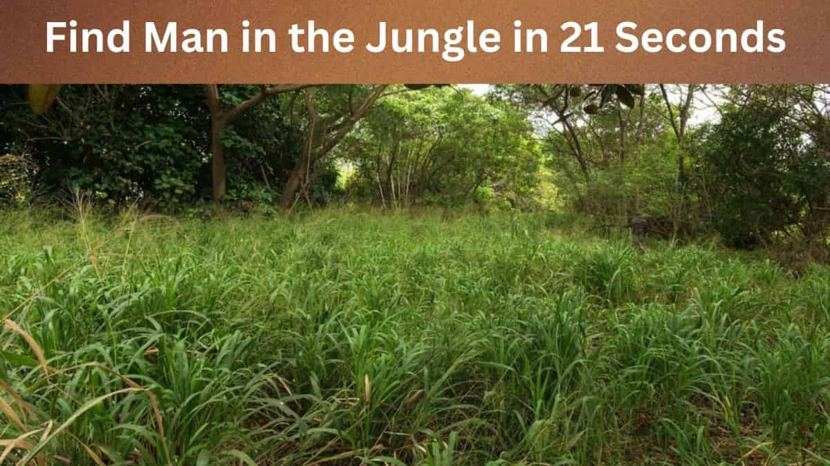 Find A Man in the Jungle in 21 Seconds