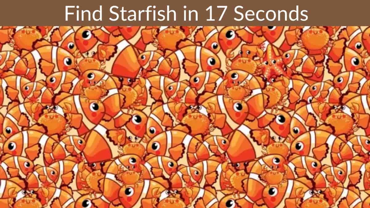 Find Starfish in 17 Seconds
