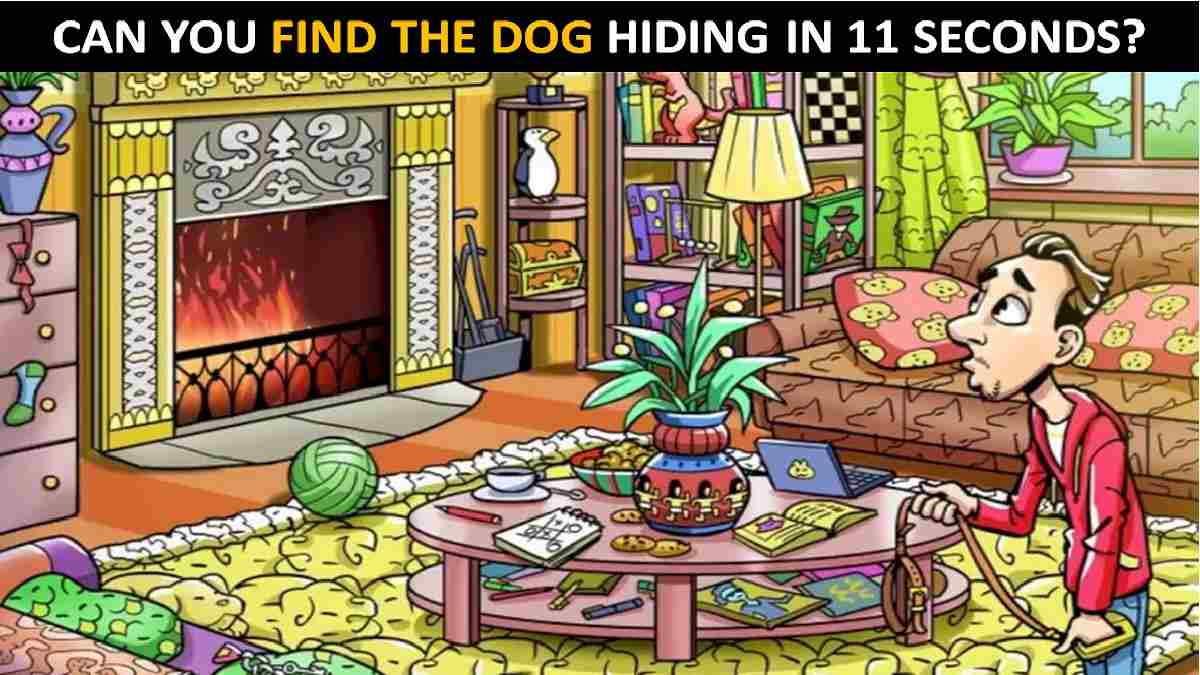 Picture Puzzle: Find The Dog Hiding In This Picture In 11 seconds, Discover Your Observation Skills