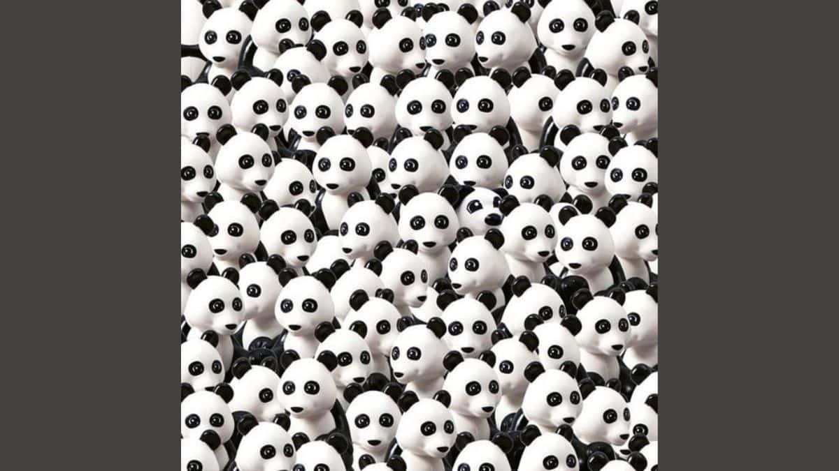 Find Dog Among Pandas in 5 Seconds