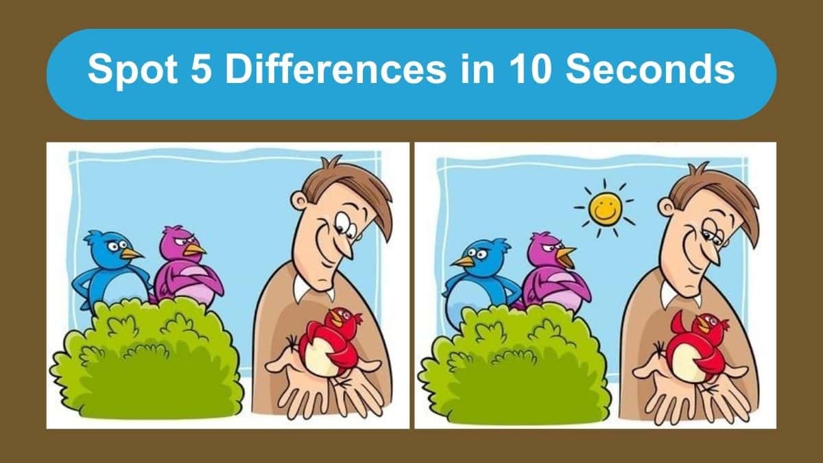 Can You Spot 5 Differences in 10 Seconds?