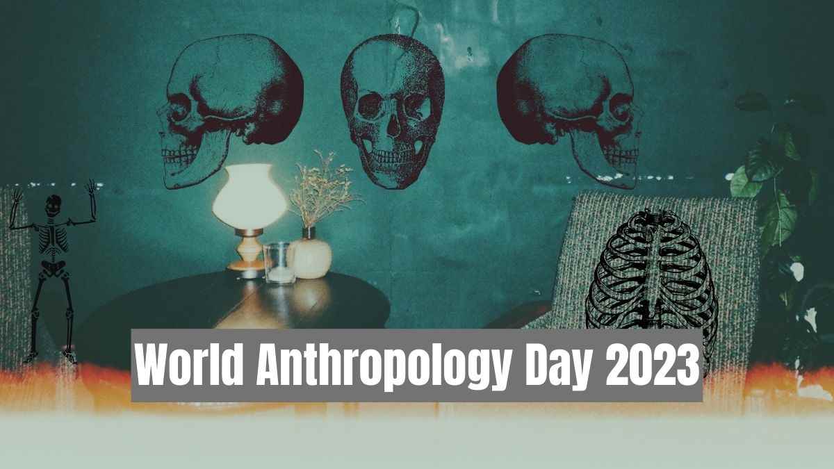 Anthropology is the study of the origin and development of human societies and cultures.