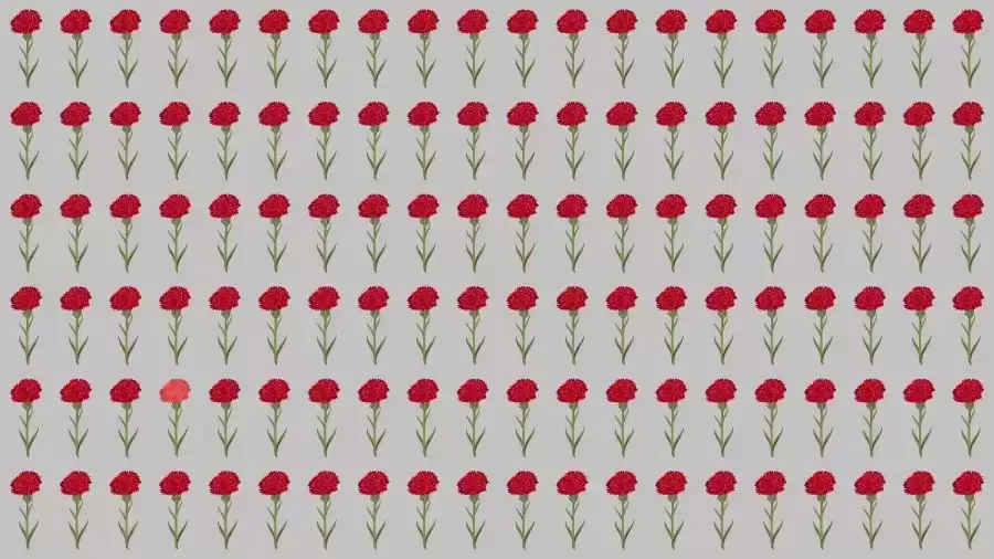Observation Skills Test: Can you find the Odd Rose in 10 Seconds?