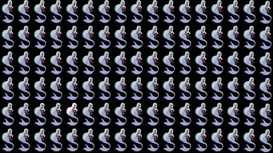 Optical Illusion Challenge: If you have Eagle Eyes find the Odd Mermaid in 15 Seconds