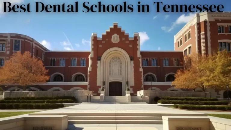 Best Dental Schools in Tennessee - Top 10 For the Field of Dentistry