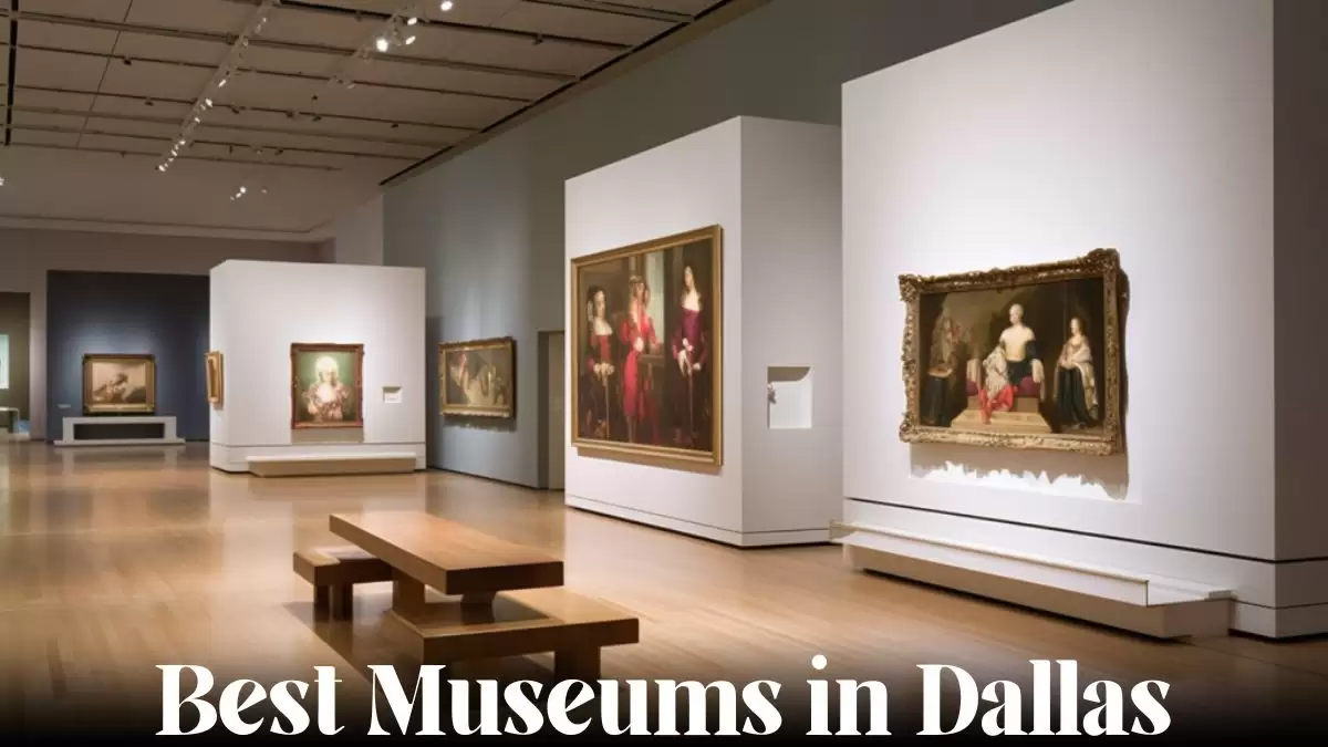 Best Museums in Dallas - Top 10 That Transcends Time and Borders