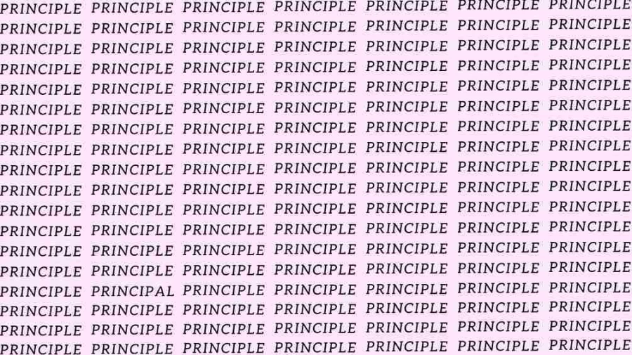 Observation Skill Test: If you have Eagle Eyes find the Word Principal among Principle in 15 Secs