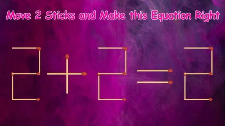 2+2=2 Move 2 Sticks and Make this Equation Right