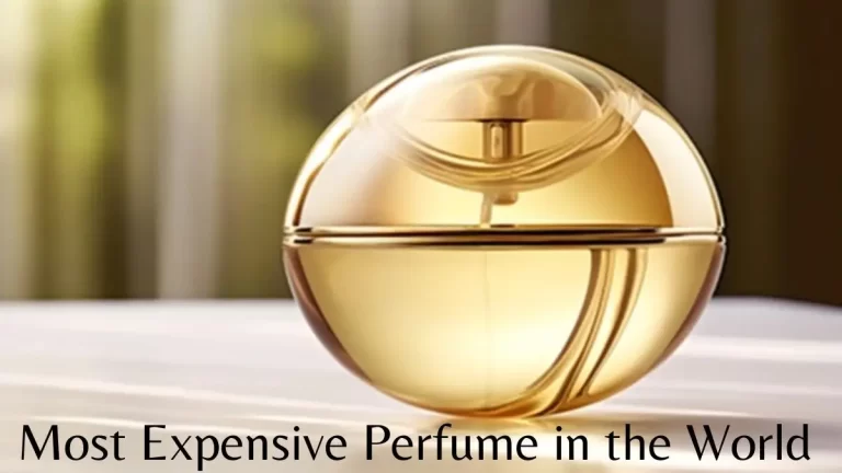 Most Expensive Perfume in the World - Top 10 Unparalleled Precision
