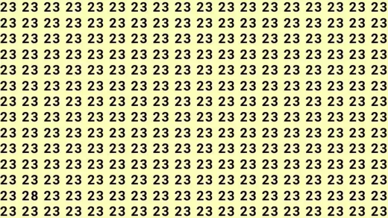 Optical Illusion Brain Test: If you have Eagle Eyes Find the number 28 among 23 in 7 Seconds?