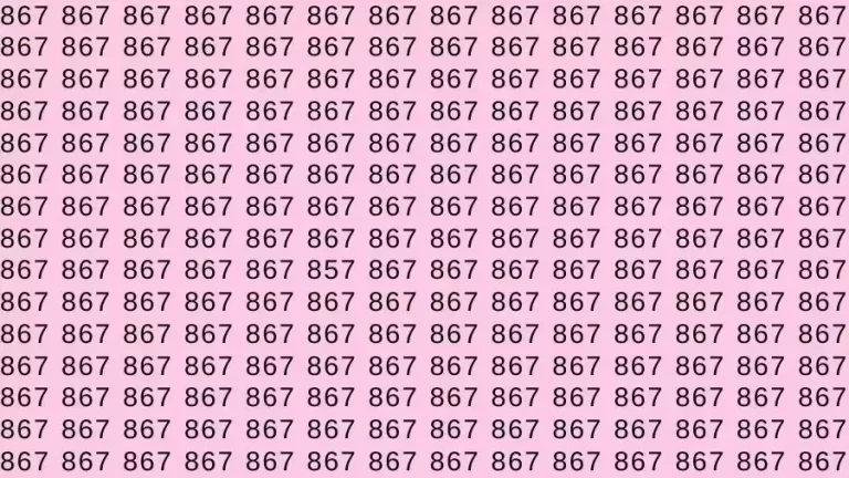 Optical Illusion Brain Test: If you have Hawk Eyes Find the number 857 among 867 in 9 Seconds?