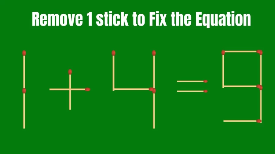 Remove 1 Stick and Fix the Equation 1+4=9