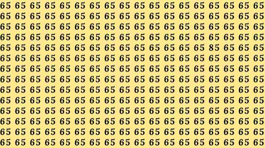Optical Illusion Test: If you have Eagle Eyes find the number 85 among 65 in 10 Seconds