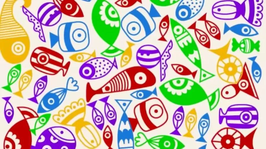 Optical Illusion Eye Test: If You have Hawk Eyes Find the Hidden Candy among these Fishes Within 15 Seconds?