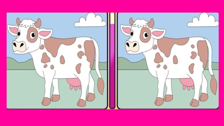 Spot the difference: Can you Spot 3 Differences in these Pictures?