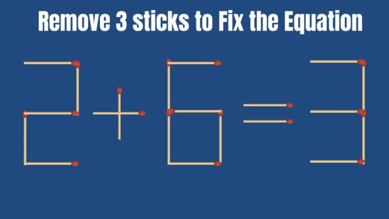 Brain Teaser: 2+6=3 Remove 3 Sticks to make this Equation Right I Matchstick Puzzle