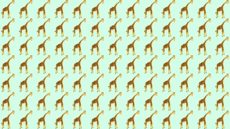 Observation Skill Test: Can you find the odd Giraffe within 10 seconds?