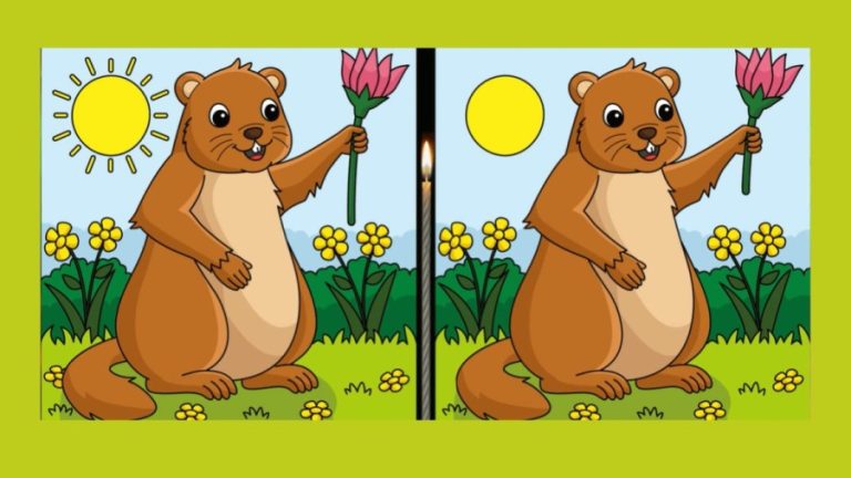 Spot the difference: Can you Spot 3 Differences in these Pictures within 25 Seconds?